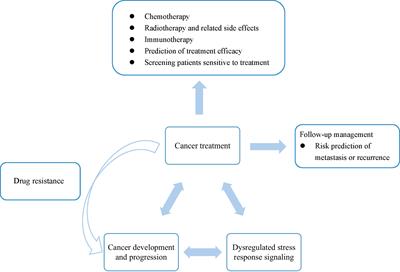 Editorial: Stress response signaling in tumor development and its implications for cancer treatment